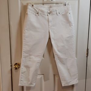 ANN TAYLOR LOFT CURVY CROP CAPRI